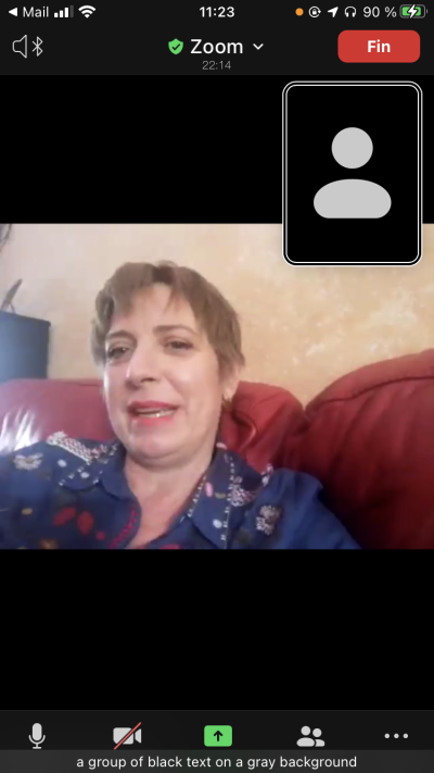 Imagen videoconferencia