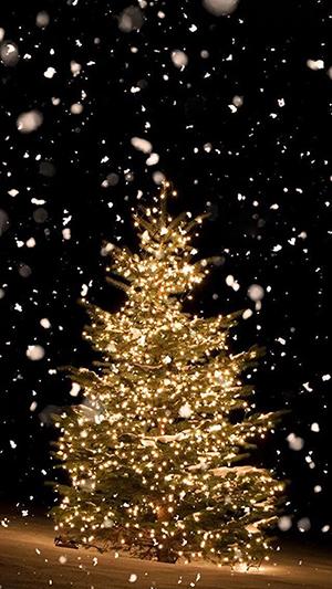 Foto arbol de Navidad