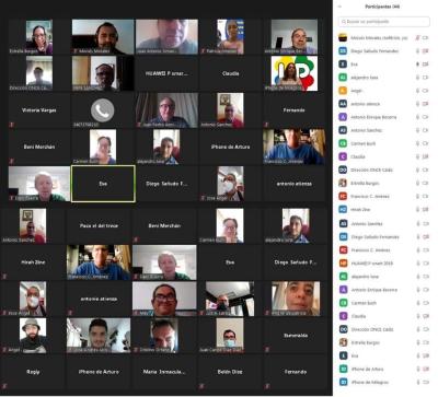Imagen videoconferencia