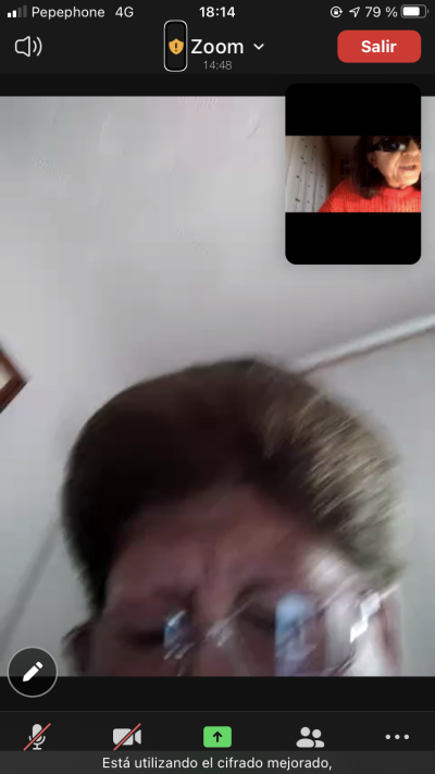 Imagen videoconferencia
