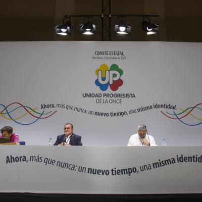 Comité Estatal de UP de Seguimiento del Programa Electoral - Foto 2