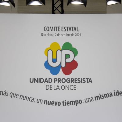 Comité Estatal de UP de Seguimiento del Programa Electoral - Foto 12