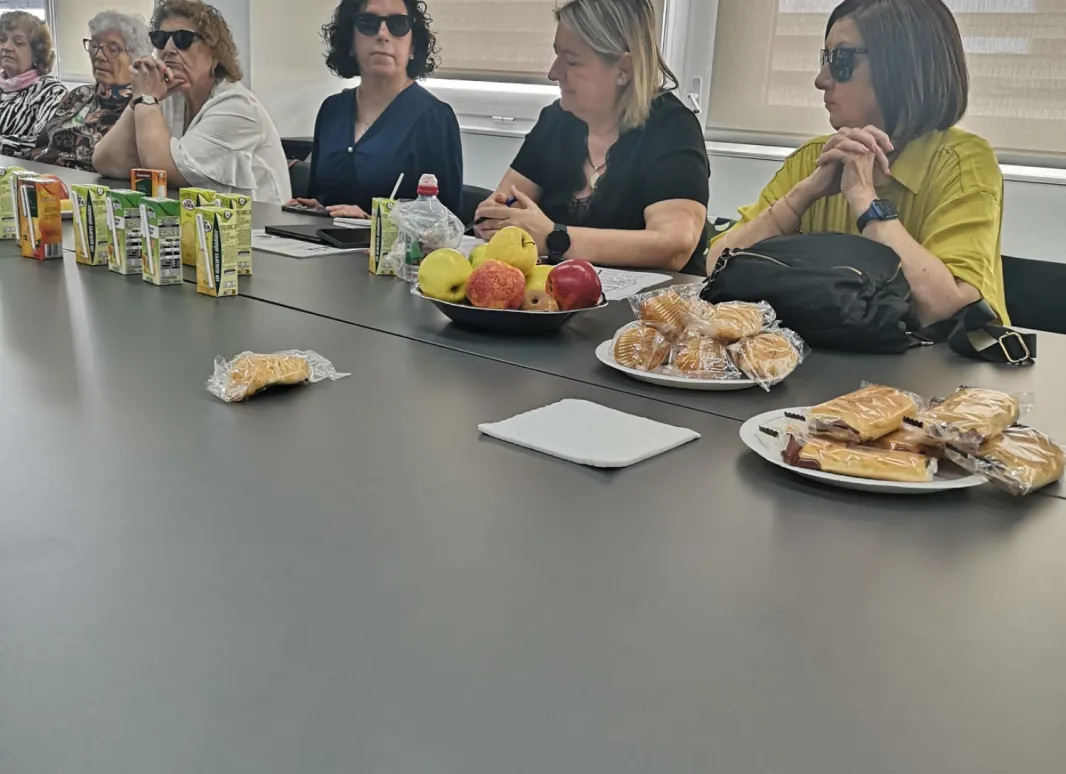 Reunión de la Comisión de Sección de Seniors de la ONCE en Sevilla. En la sesión participan, entre otros compañeros, Isabel Viruet, Mercedes de Luna y Loli Carmen Polo. Sobre la mesa se observan documentos, zumos, fruta y aperitivos, denotándoes un ambiente de trabajo ameno y  participativo.