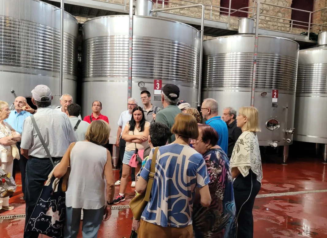 Visita guiada a la Bodega Montecierzo 