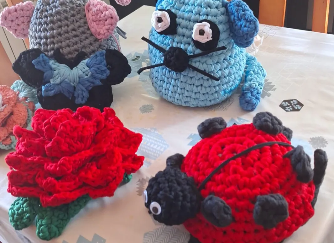 ANINALES EN TÉCNICA DE TRAPILLO: GATO, PERRO , MARIQUITA Y FLOR