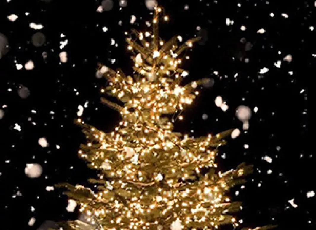  Foto arbol de Navidad