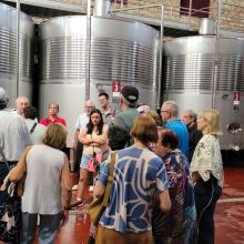 Visita guiada a la Bodega Montecierzo