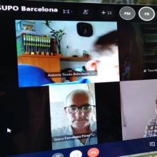Imagen videoconferencia