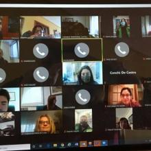 Imagen videoconferencia