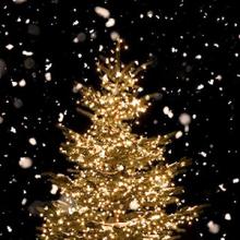  Foto arbol de Navidad