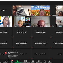 Imagen videoconferencia
