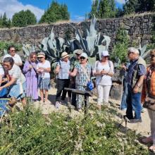 VISITA GUIADA AL JARDÍN BOTÁNICO DE GIJÓN