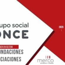 Grupo Social ONCE. Líder en el sector. ONG, fundaciones y asociaciones